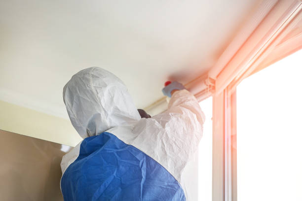 Reliable Leominster, MA Mold Removal Services Solutions