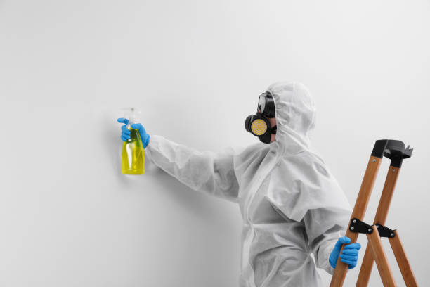 Mold Remediation for Rental Properties